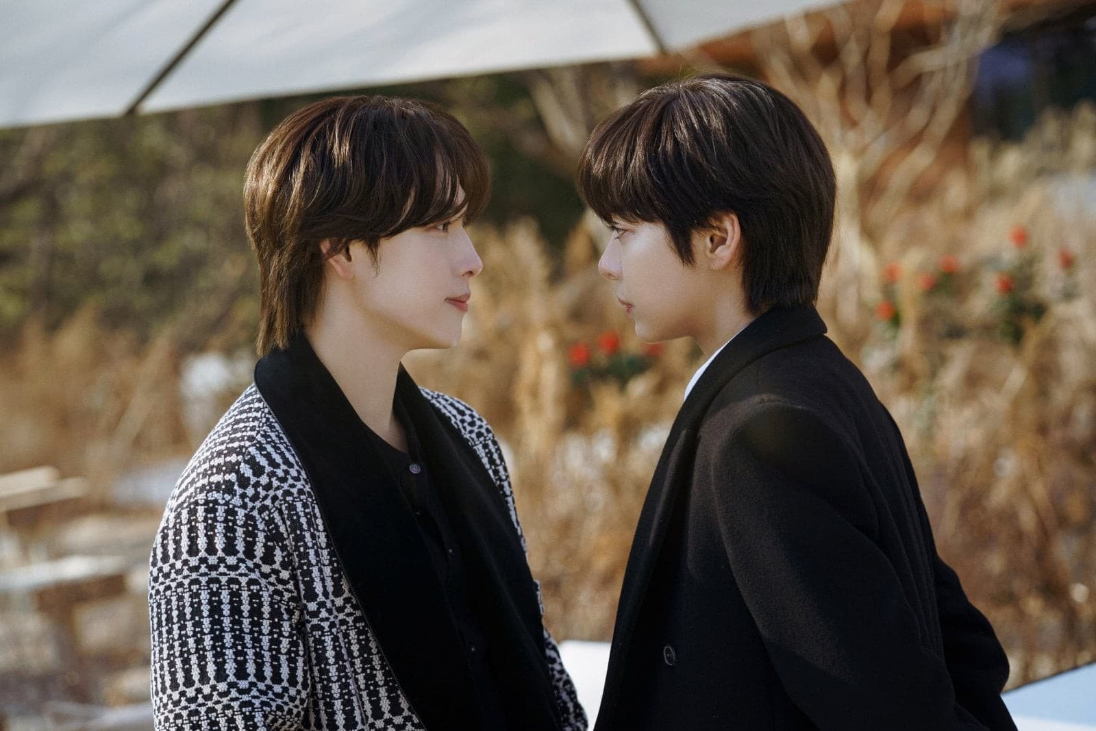 tvN《Love in Disguise》主演各揀一個關鍵詞 拆解劇中情侶關係